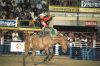 bxk15244_aandre-rodeio-2800.jpg
