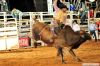 Filename=kaz_4092.jpg
Filesize=258KB
Dimensions=640x424
Date added=Oct 03, 2011 kaz_4092.jpg